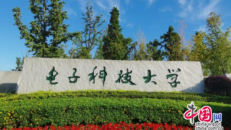 电子元件代理加盟：揭秘价格背后的行业真相